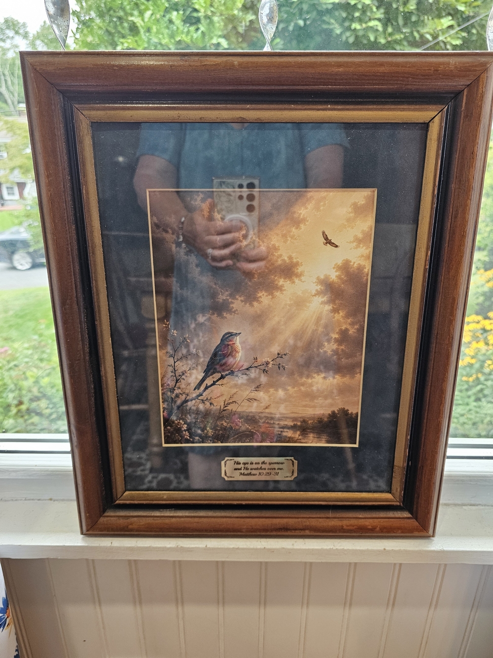 Framed Bird Print
